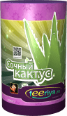 Фонтан «Сочный кактус»